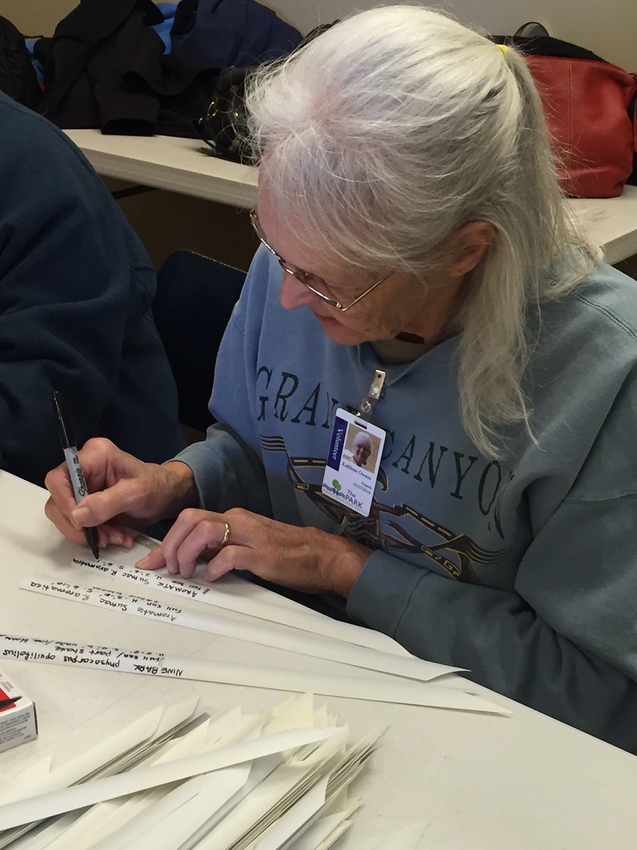 Annual Plant Sale Master Gardeners Of Greene County